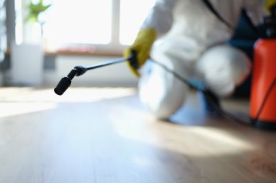 Pest Fumigation Service in Woodbridge, VA