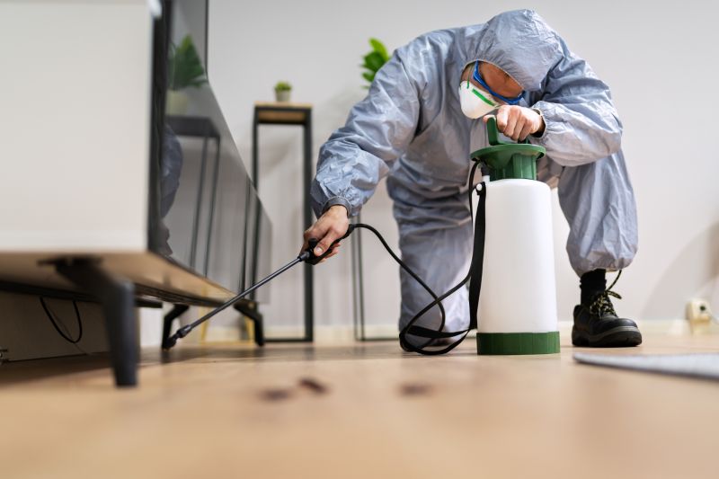 Spider Fumigation Service in Madison, WI