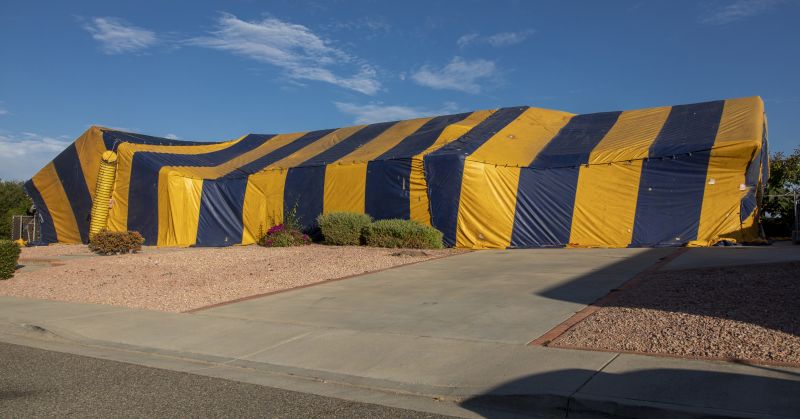 Termite Tenting in Fort Myers, FL