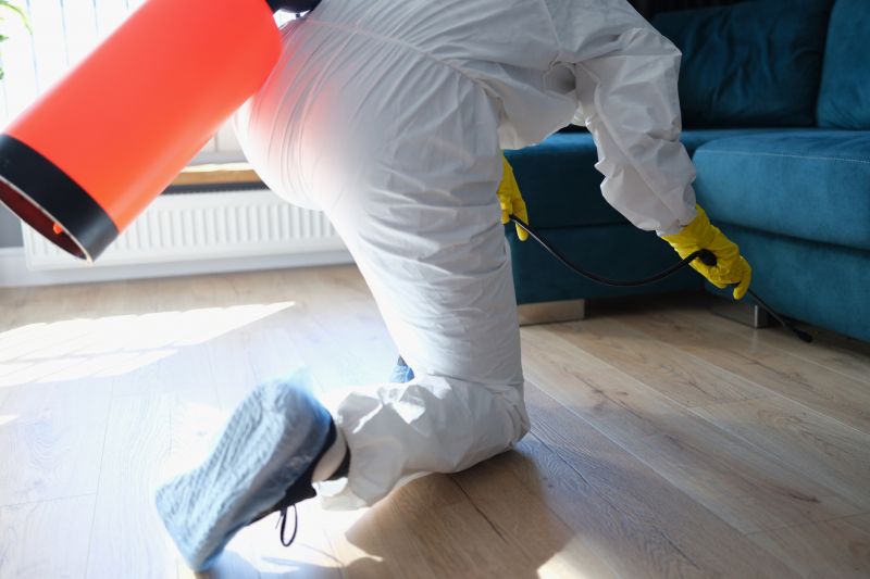 Yard Insect Treatment in Frisco, TX