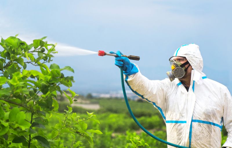 Pest Fumigation Service in Wilmington, DE